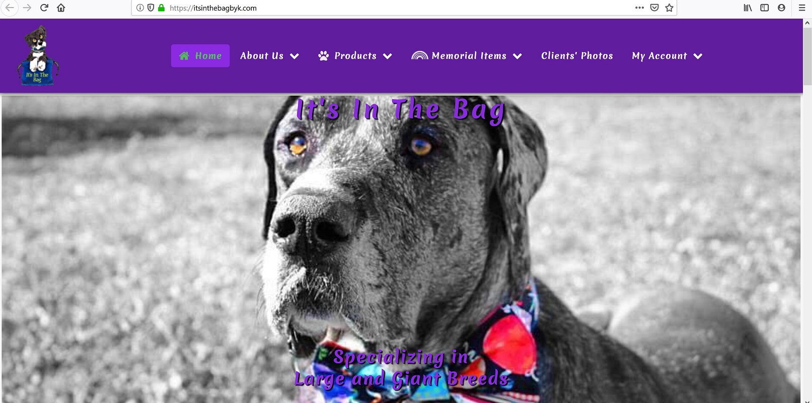 /It's%20In%20The%20Bag