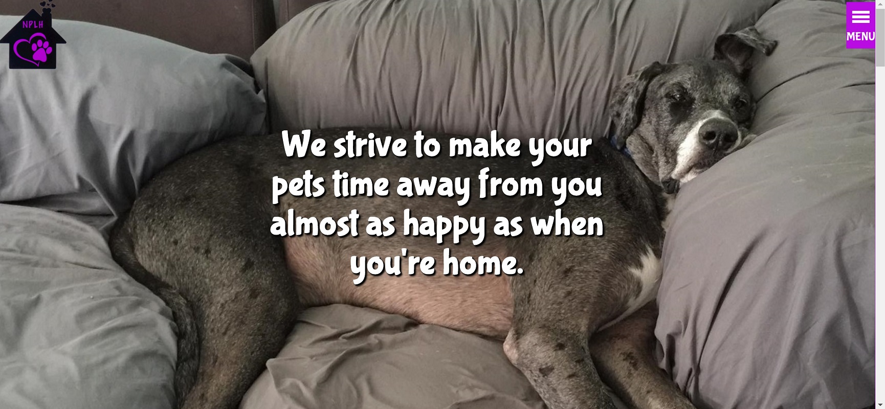 /No%20Place%20Like%20Home%20Pet%20Sitting%20Services